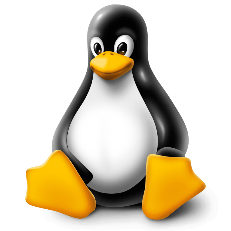 Bsp linux что это